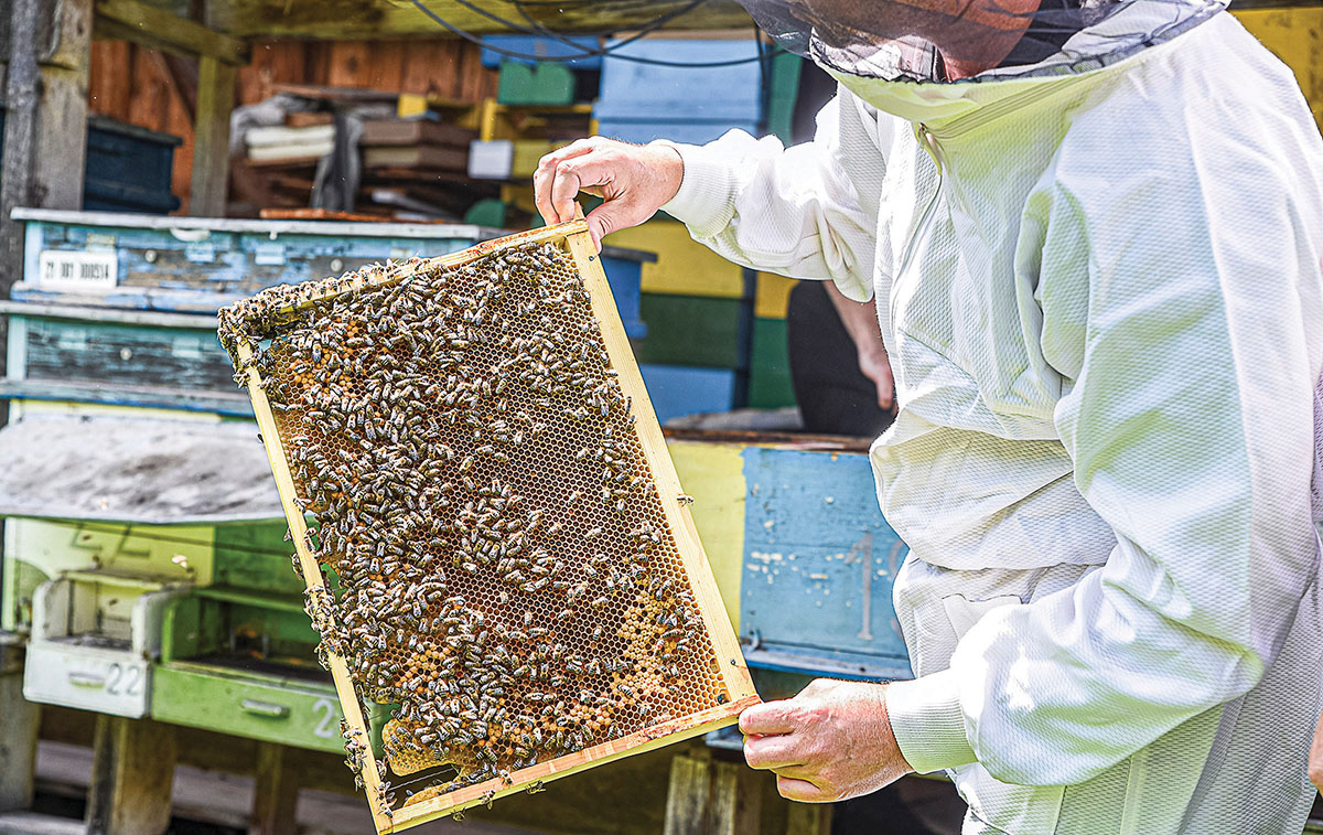 Foglalkozni kéne a foglalkozásokkal